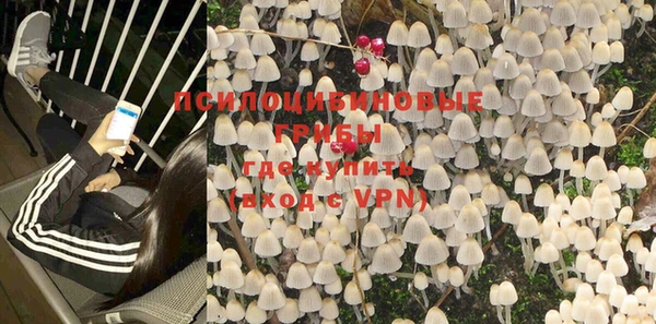 кристаллы Покачи